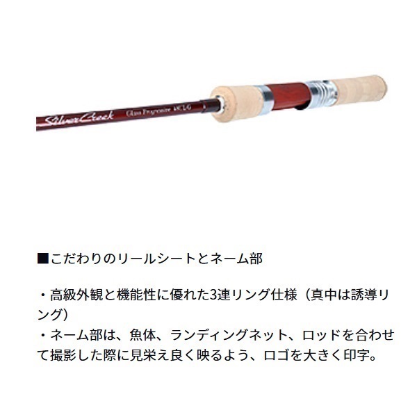 25 シルバークリーク グラスプログレッシブ